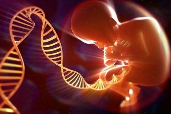 借卵试管婴儿后可以吃香肠吗-借卵试管婴儿怀孕后可以吃香蕉吗