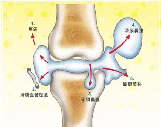 更年期可以在吉林长春做供卵试管婴儿吗？