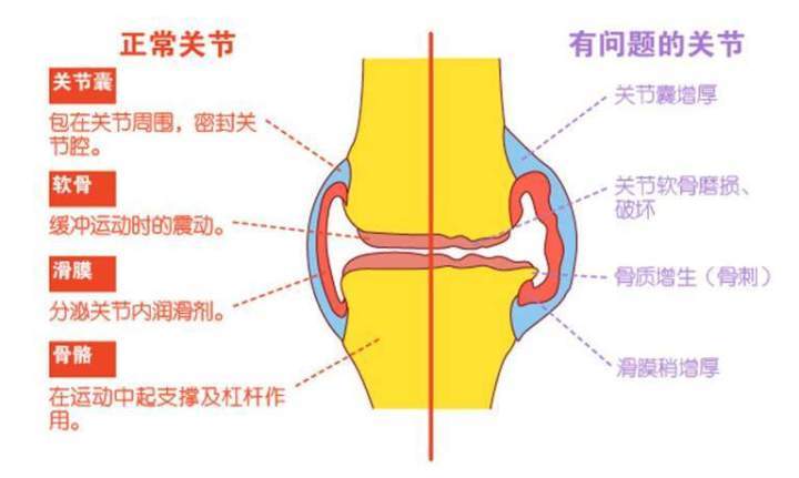 男人不孕可以做赠卵试管代怀机构吗？男性的最佳年龄是多少？