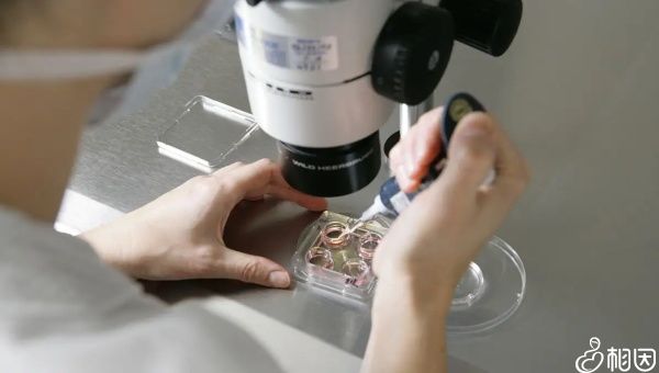 供卵做试管代生价格30号的宫腔内有一个孕囊，胎芽为0.4，有脉动的胎心，但宫腔内的胎心是。
