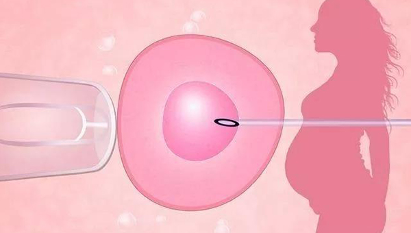 赠卵试管婴儿怀孕后出血且肚子疼怎么回事