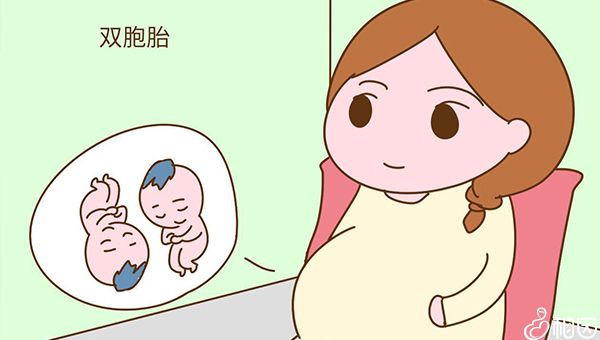 做供卵试管婴儿囊胚移植