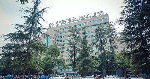 做借卵试管移植促排卵方案流程
