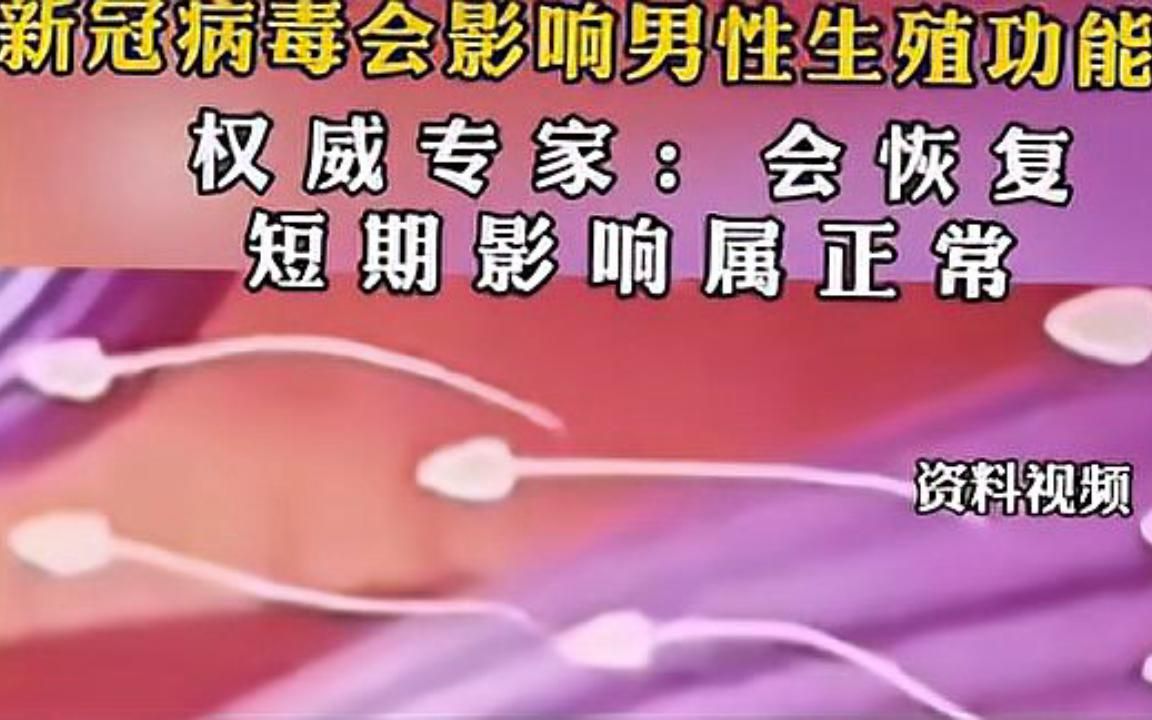 试管婴儿对母体有什么伤害