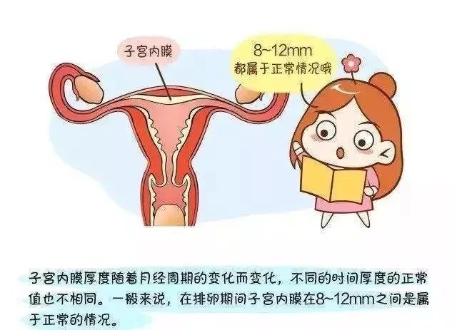 去浙江杭州正规试管代怀是新潮热,还是刚需？本文便可知晓