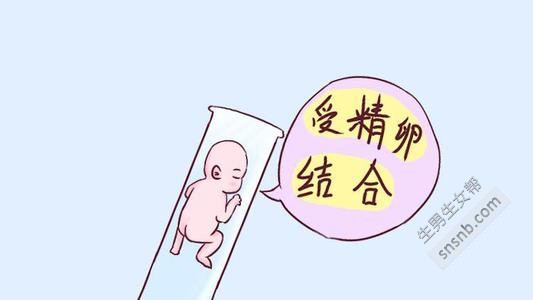 怎样才能得到精子库的精子
