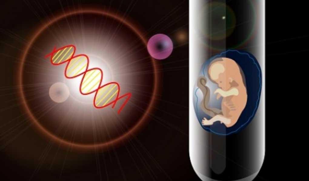 杭州借卵试管代怀有吗之女性的生育变化规律