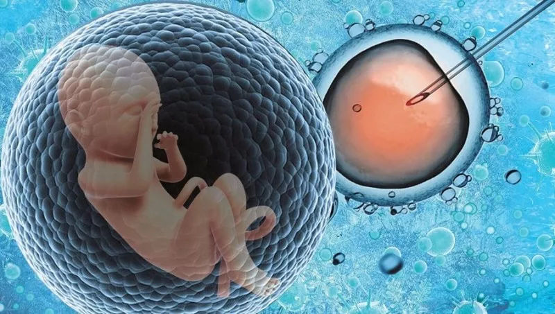 做试管代怀包男孩是男还是女孩_试管代怀孕费用浅析生男孩多还是女孩多+