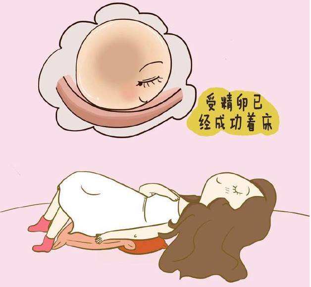 排卵试纸怎么测,什么时候测（分分钟教你搞定!）
