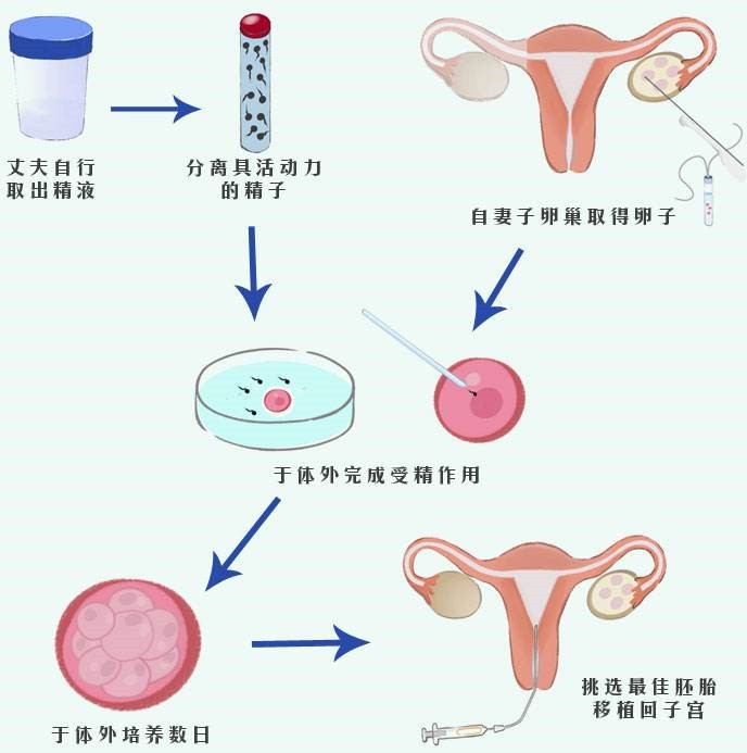 重组人血清白蛋白+人血清白蛋白在人体内具备关键的生理学功效