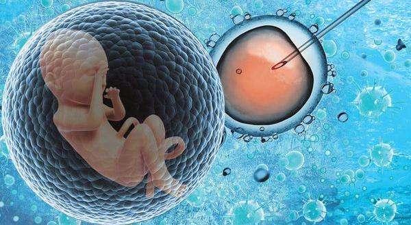 超细讲解试管超长方案所需时间-治疗流程由4步组成