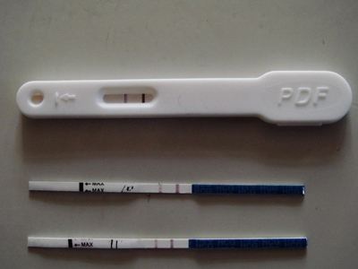 做试管代怀去哪能筛查、规避遗传色弱基因吗