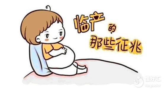 简单记录一下我的靠谱试管代生公司经历