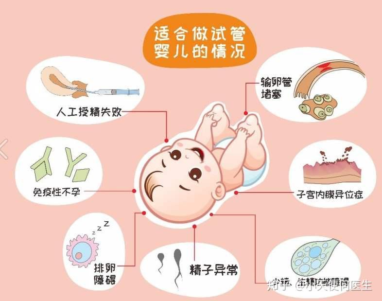 2024年想生男孩可以供卵医院在哪吗（内附最新费用及成功率）