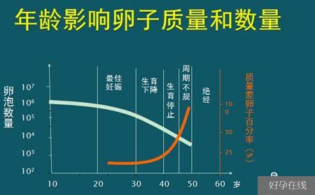 杭州试管一次成功-移植后48小时很重要!